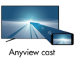 Anyview cast