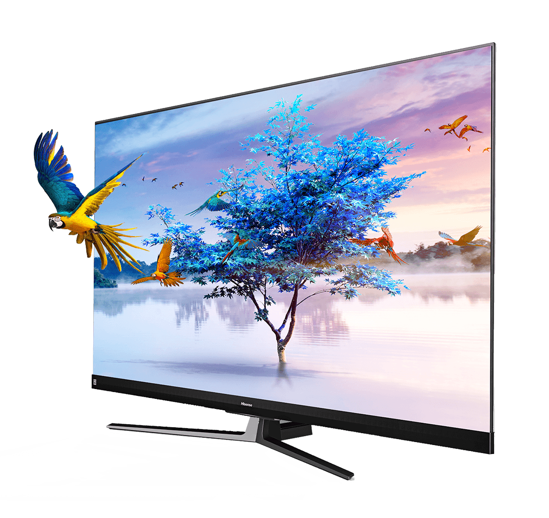 Televisão