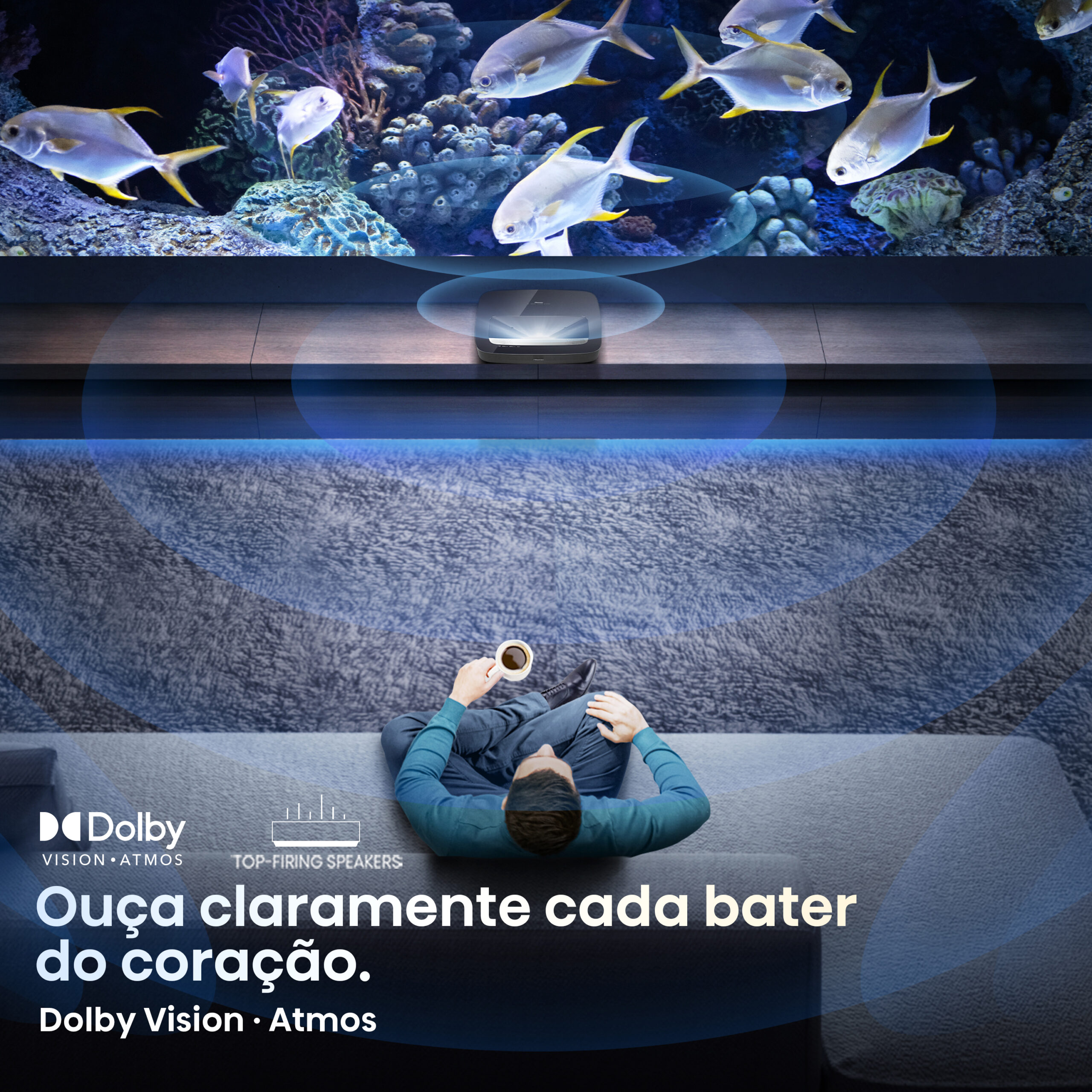 Hisense - Laser Cinema PL1SE