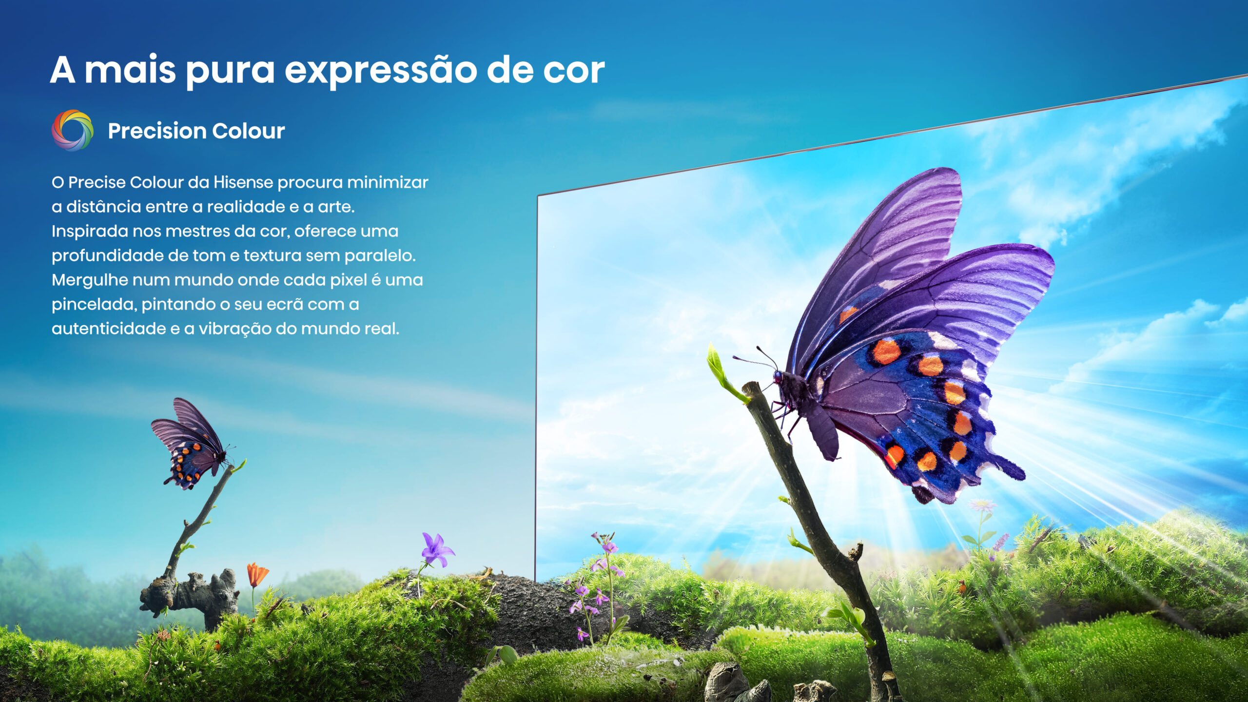 2-Precision-Colour
