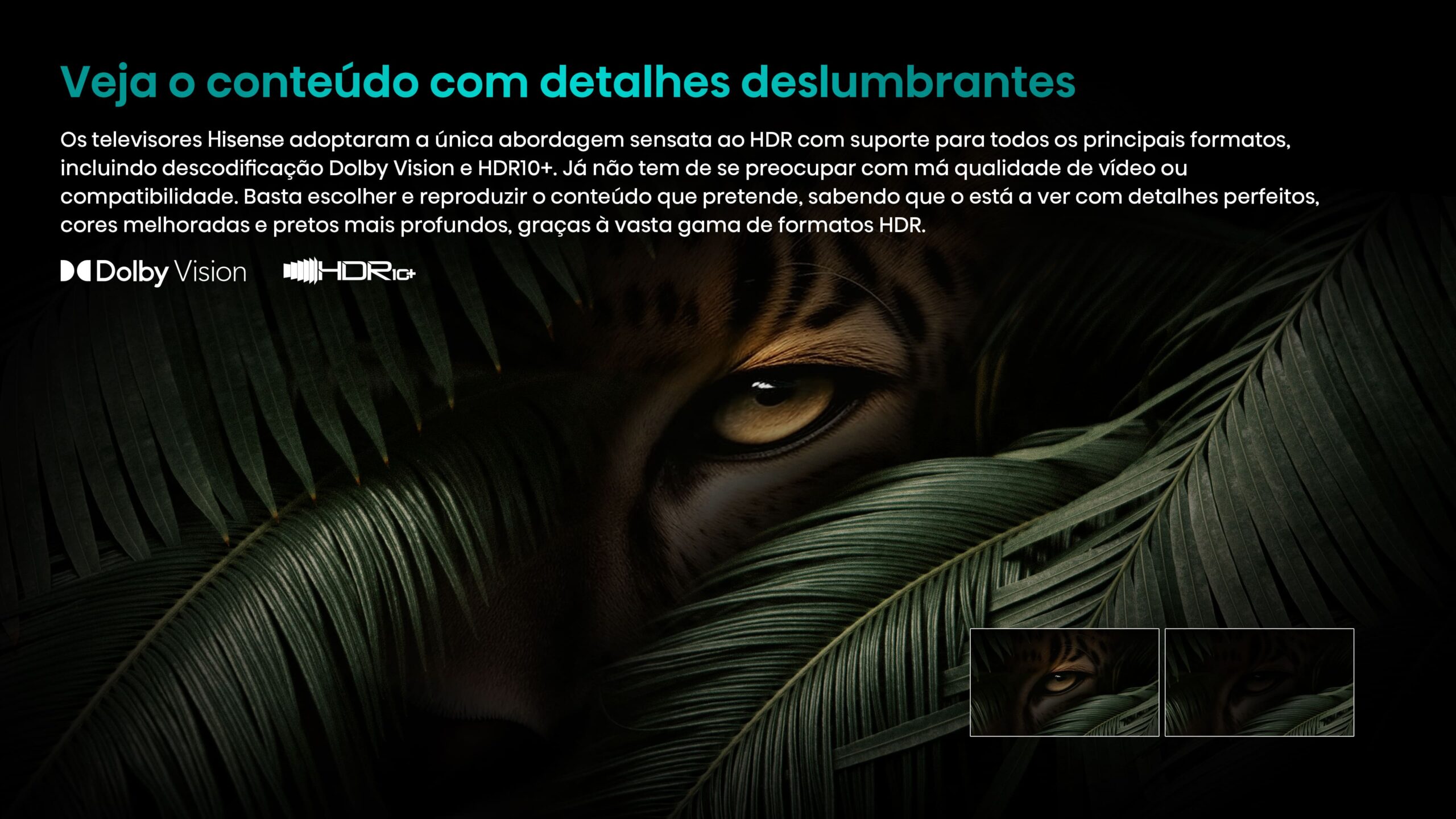 HDR10+-Decoding-Dolby-Vision-