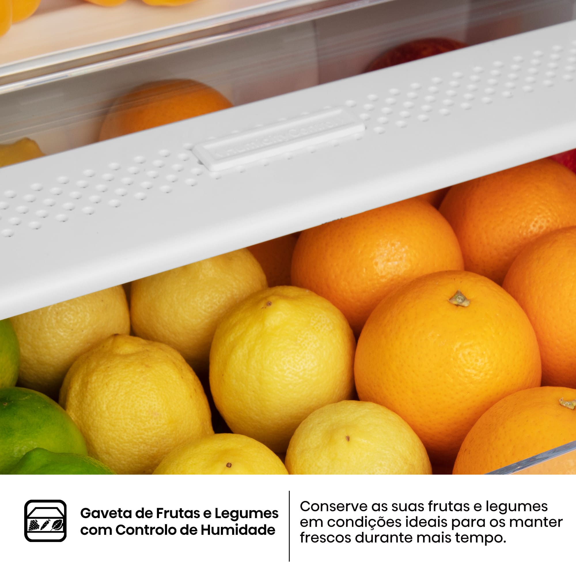 Hisense - RB440N4ACC – Combinado 2 Portas, Classe C, 336L