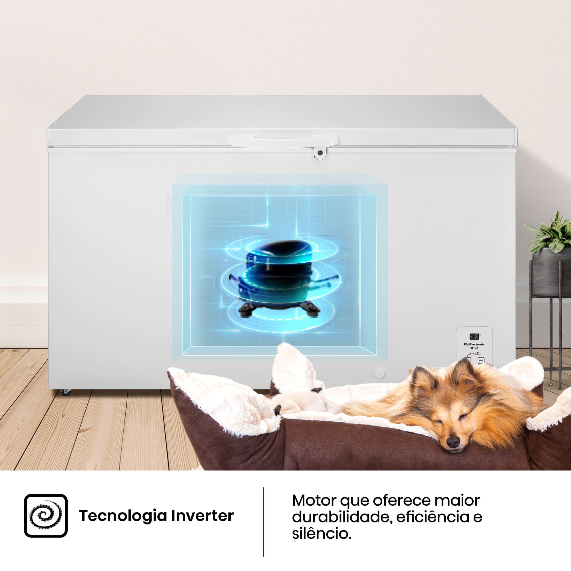 Hisense - FT546D4AWLYE – Arca Horizontal, Classe E, 420L