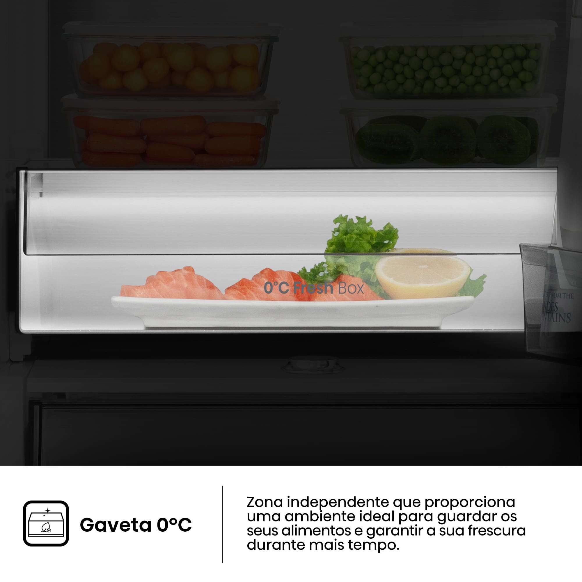 Hisense - RL3K370SAFC – Frigorífico 1 Porta Kitchen Fit, Classe C, 372L