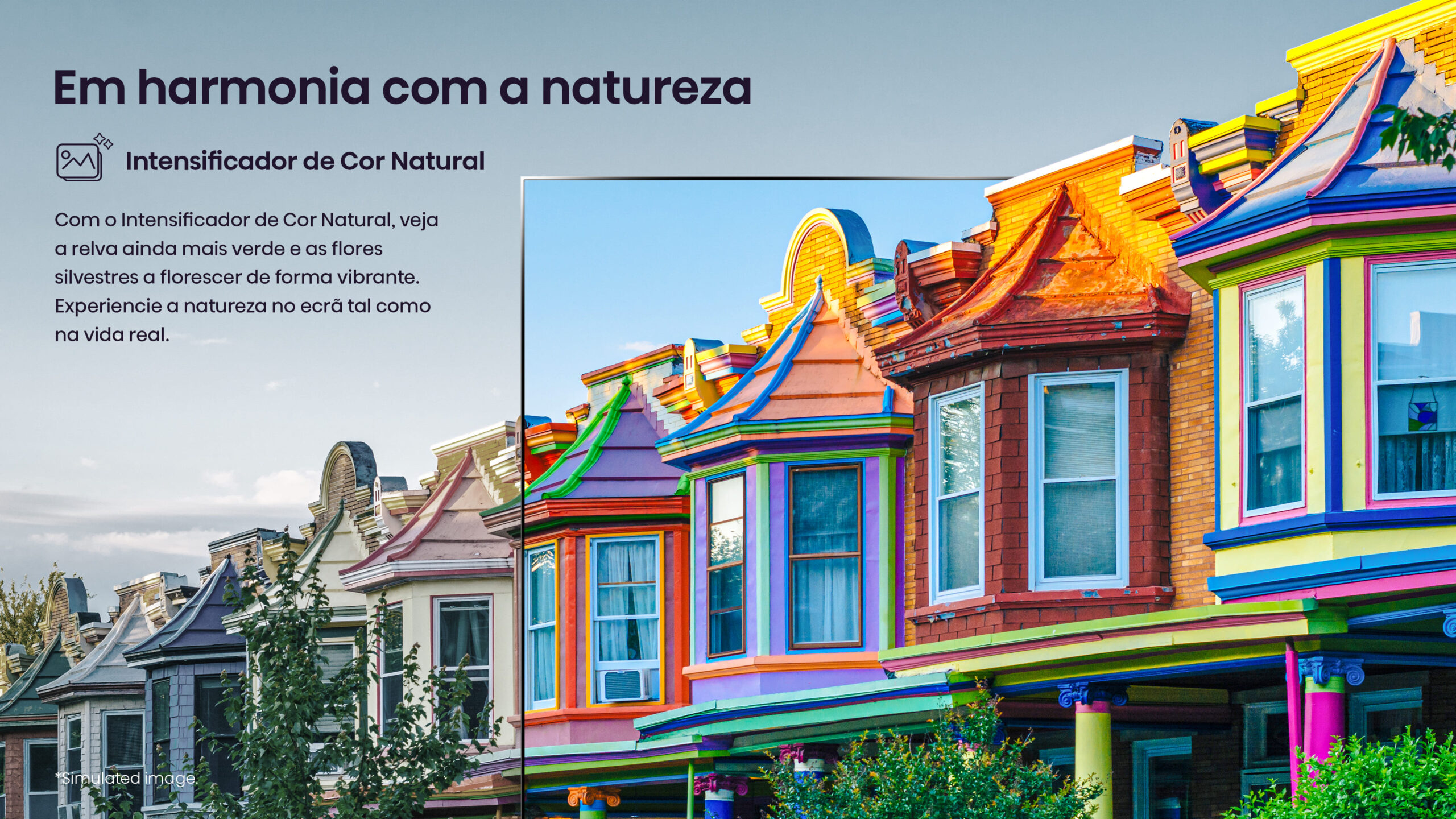 3-Natural-Colour-Enahancer-2