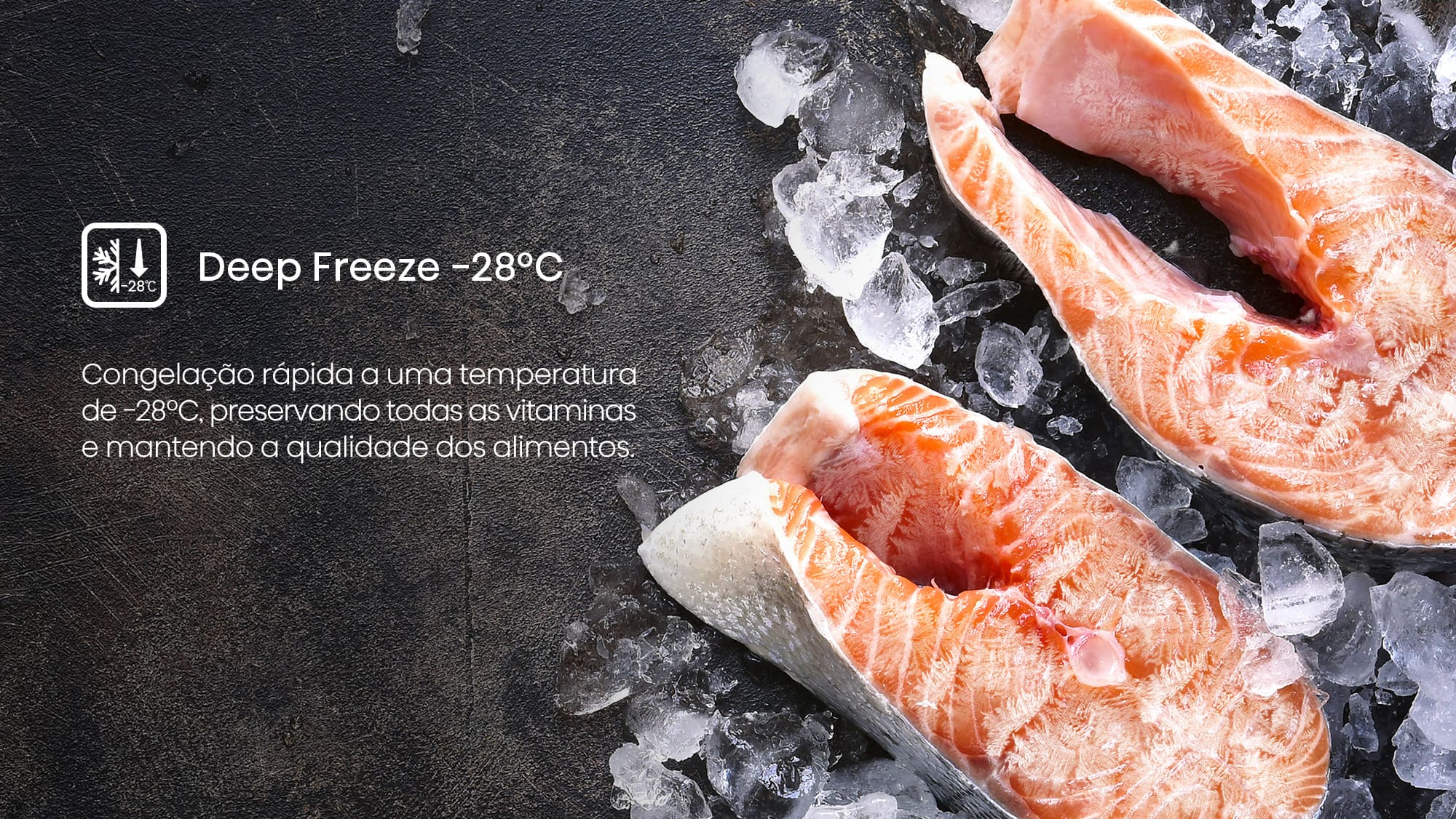 FT3K310SAIE1 deep freeze