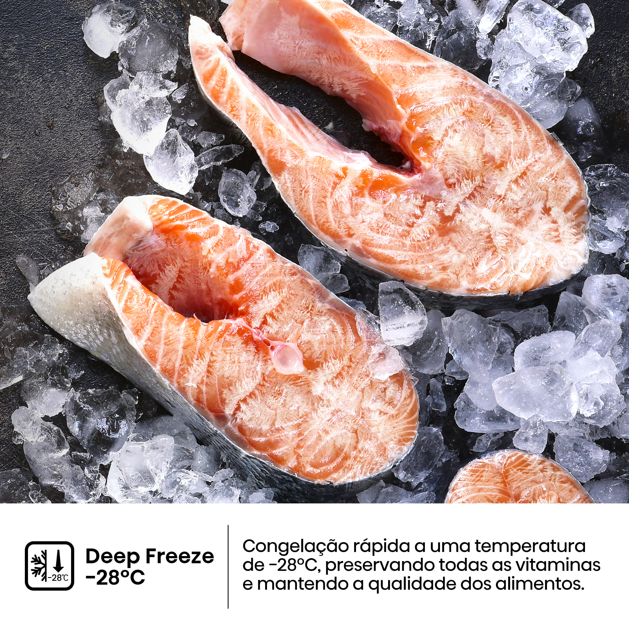 Hisense - FT3K310SAIE1 – Arca Vertical Kitchen Fit, Classe E, 312L