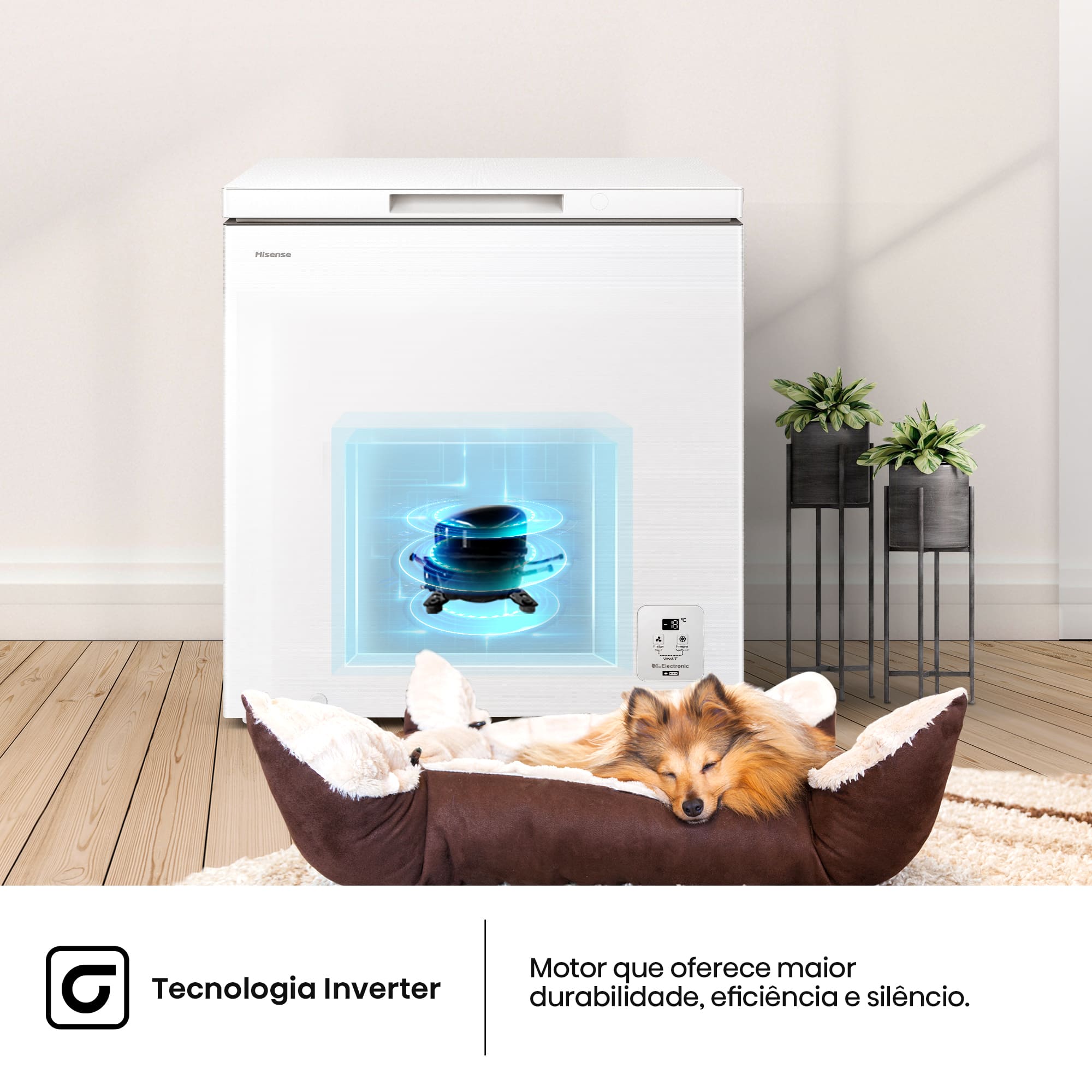 Hisense - FT200N1AWDL – Arca Horizontal, Classe D, 198L