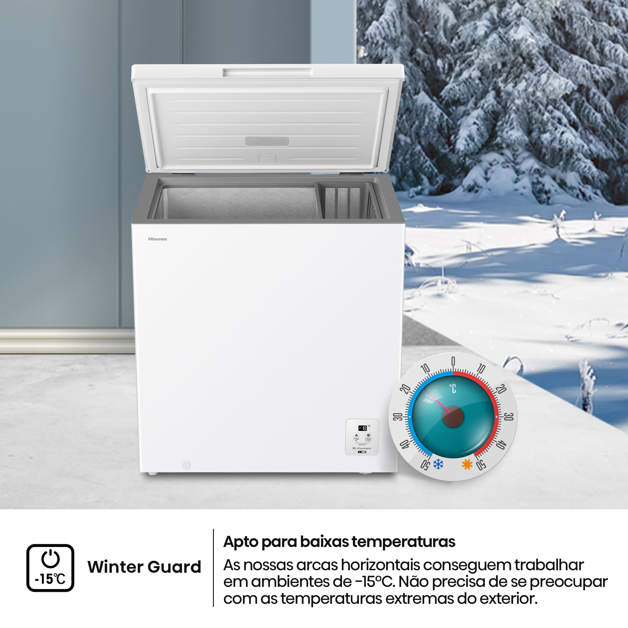 Hisense - FT200N1AWDL – Arca Horizontal, Classe D, 198L